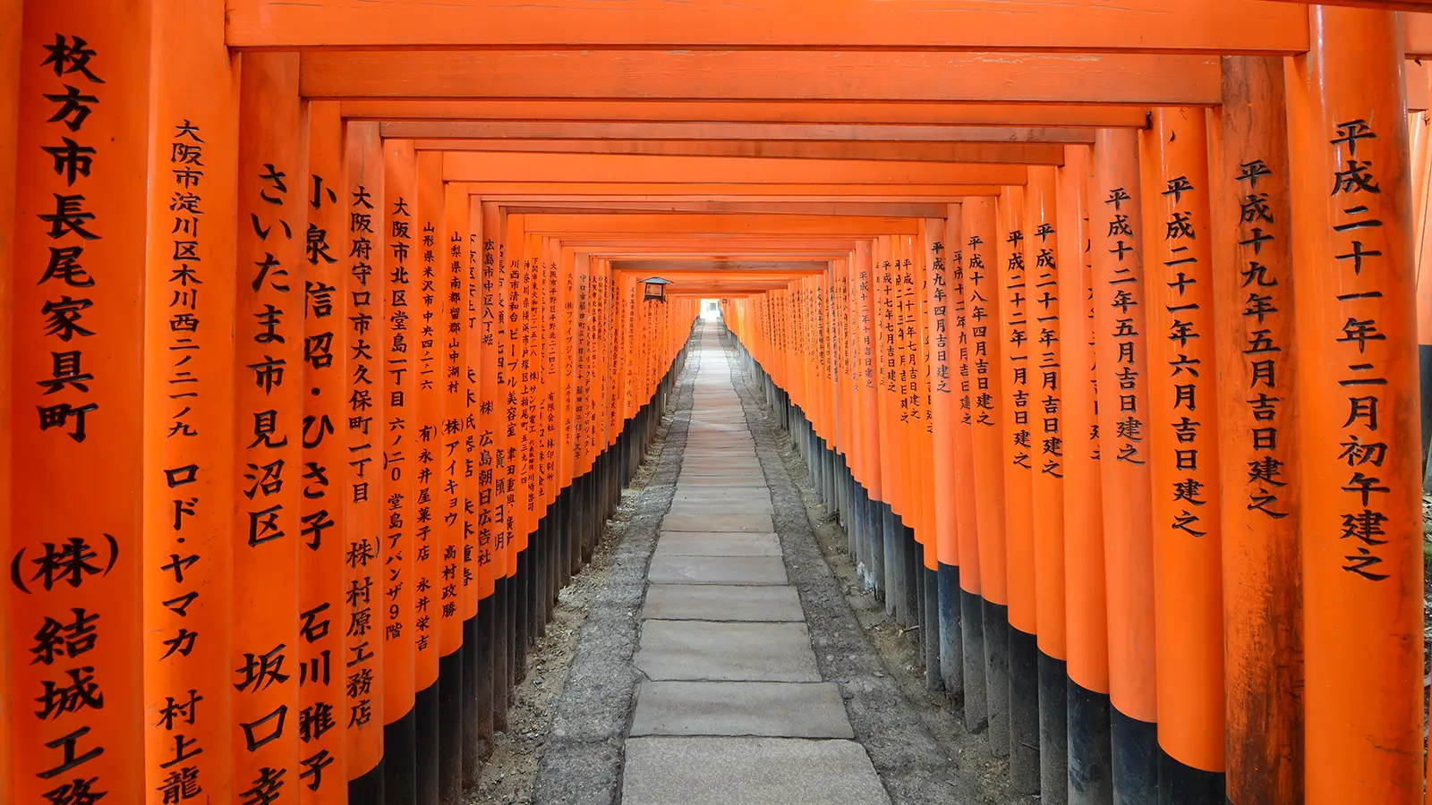 Temples et sanctuaires au Japon : comprendre la différence avant de visiter